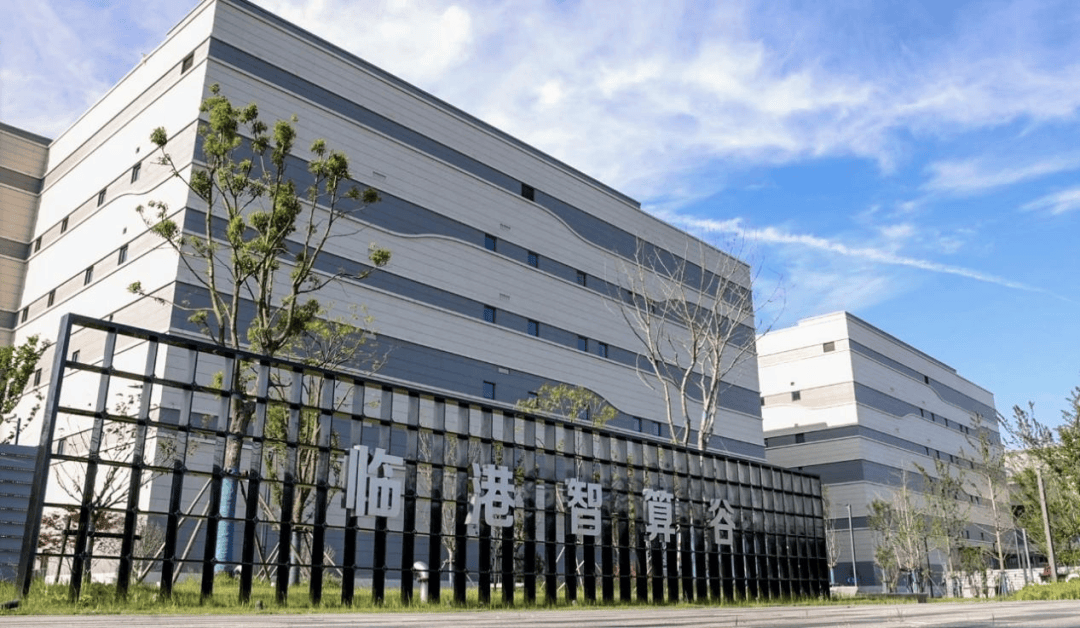 智云上海一座城的数智化呼吸ky开元棋牌万字回顾2025(图7)